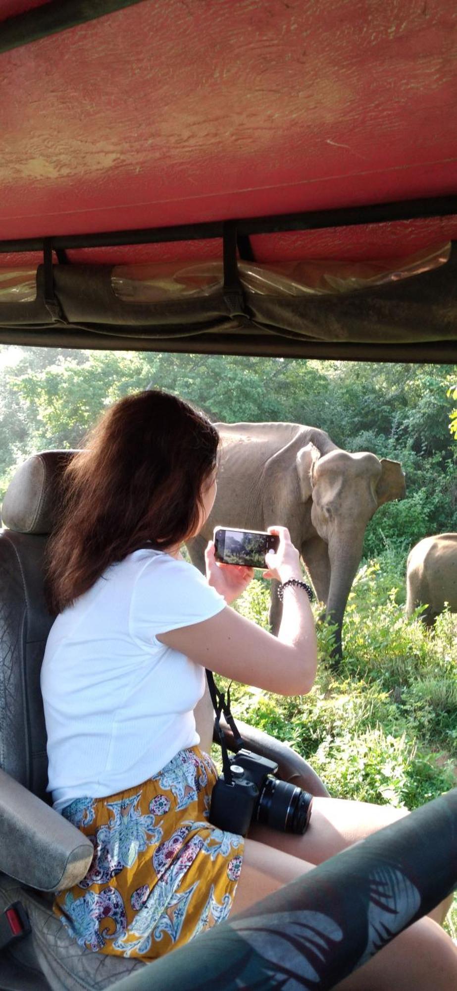 Safari Horizon Udawalawe Panzió Kültér fotó