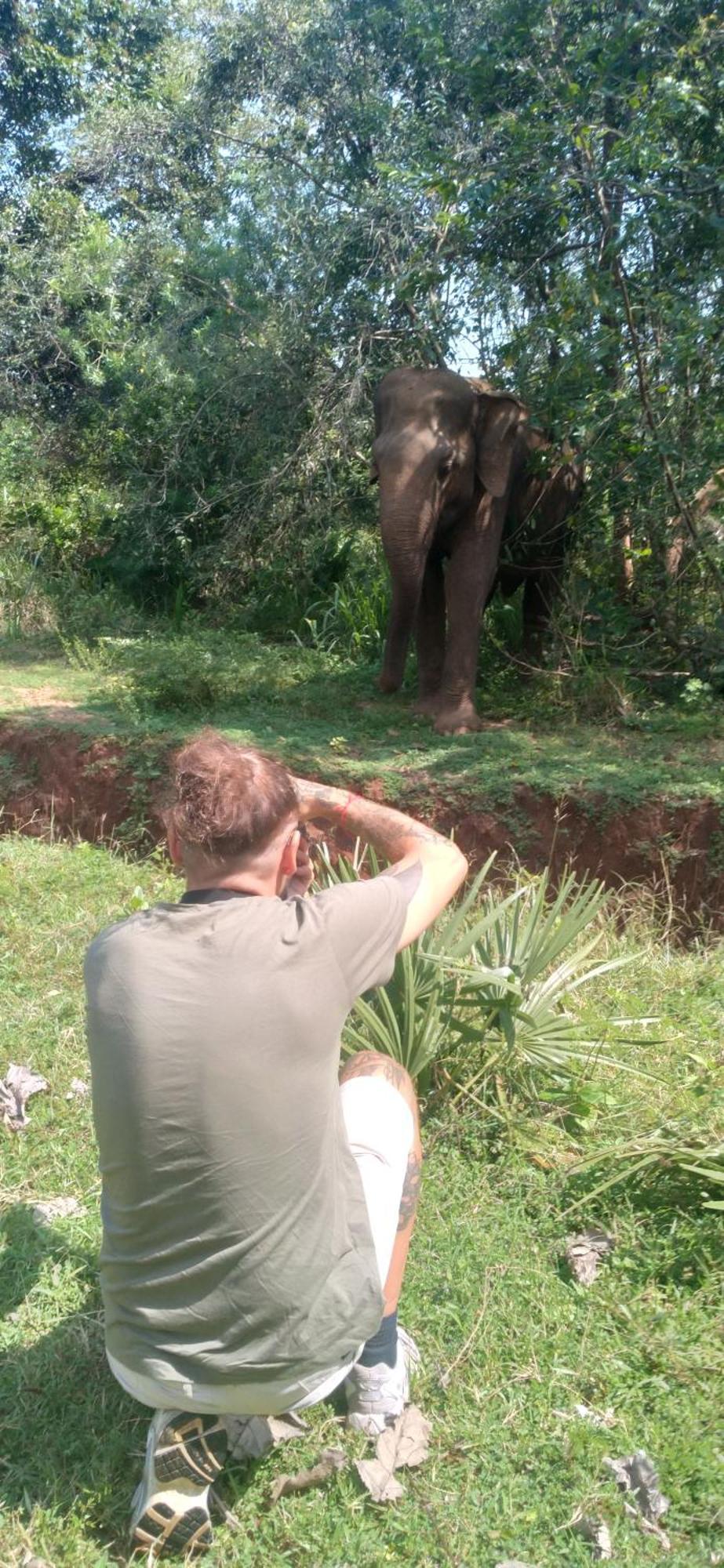 Safari Horizon Udawalawe Panzió Kültér fotó
