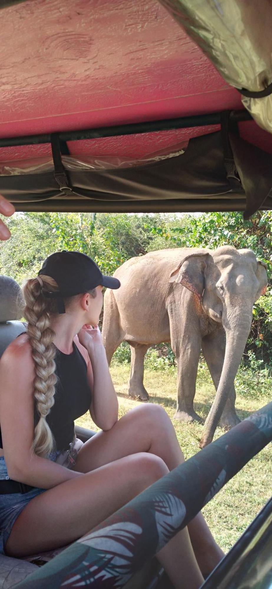 Safari Horizon Udawalawe Panzió Kültér fotó