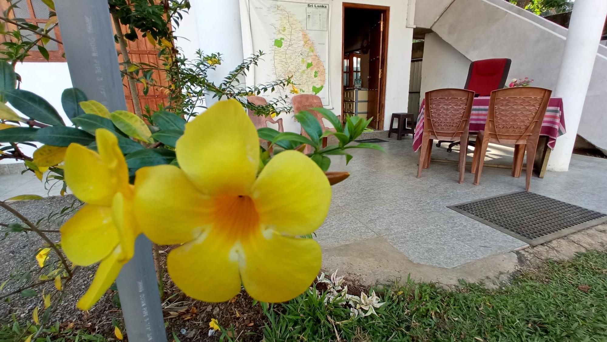Safari Horizon Udawalawe Panzió Kültér fotó
