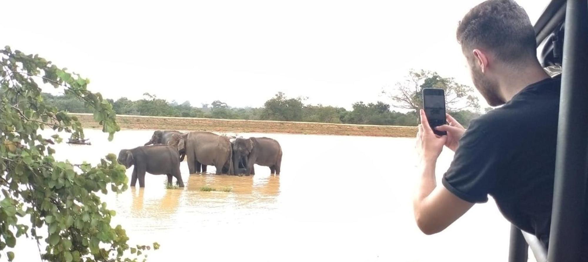 Safari Horizon Udawalawe Panzió Kültér fotó
